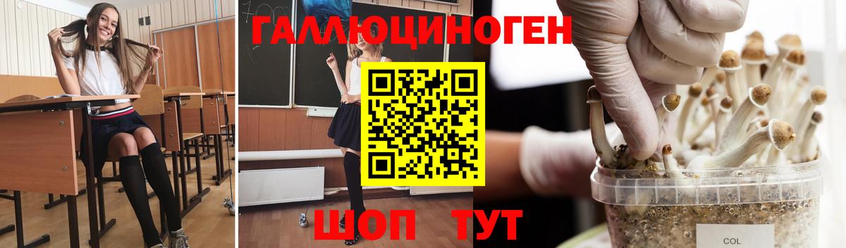 Новокубанск  даркнет сайт  Вход с VPN  Галлюциногенные грибы Cubensis 